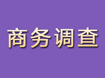 民乐商务调查